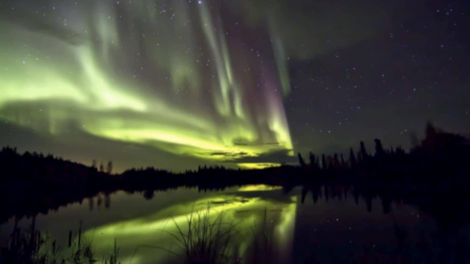 From sparking powerful solar storms to causing forest fires, know the dangers of solar winds