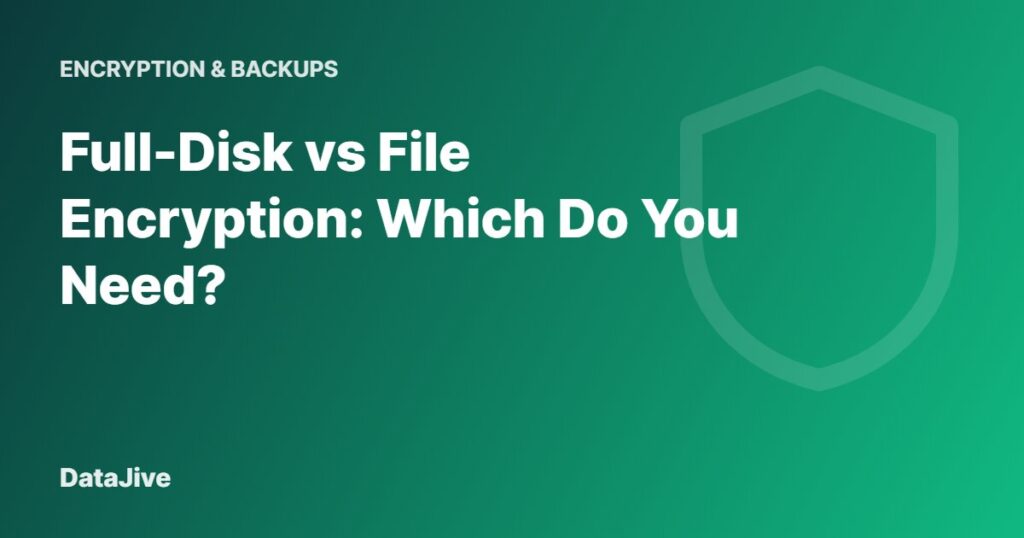Full-Disk vs File Encryption: Which Do You Need?