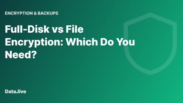 Full-Disk vs File Encryption: Which Do You Need?